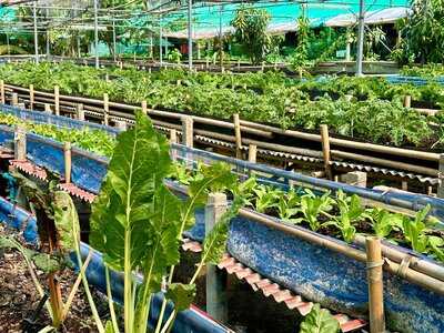 Chuankhun Garden Cafe