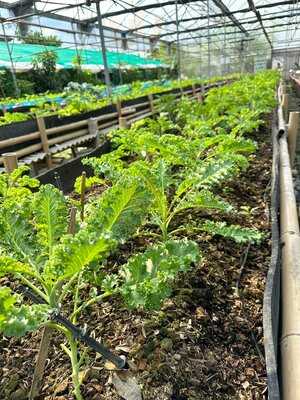 Chuankhun Garden Cafe