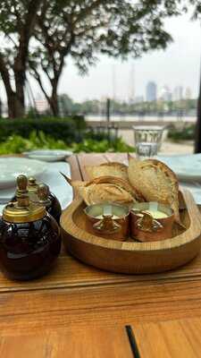 Palmier By Guillaume Galliot