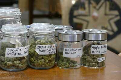 Haf | Weed Shop Bangkok