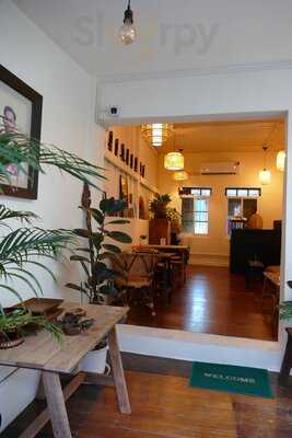 Haf | Weed Shop Bangkok