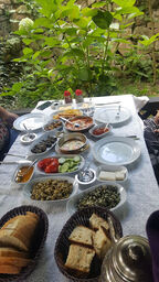 Dikmenevi