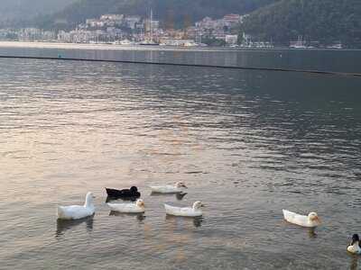 Leb-i Derya Fish Restaurant