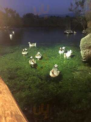 Nadir Usta'nın Yeri