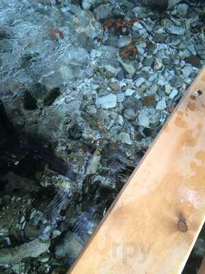 Nadir Usta'nın Yeri