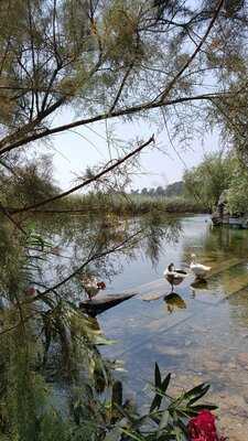 Nadir Usta'nın Yeri
