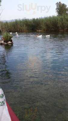 Nadir Usta'nın Yeri