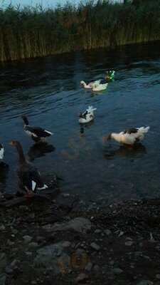 Nadir Usta'nın Yeri