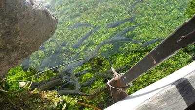 Nadir Usta'nın Yeri