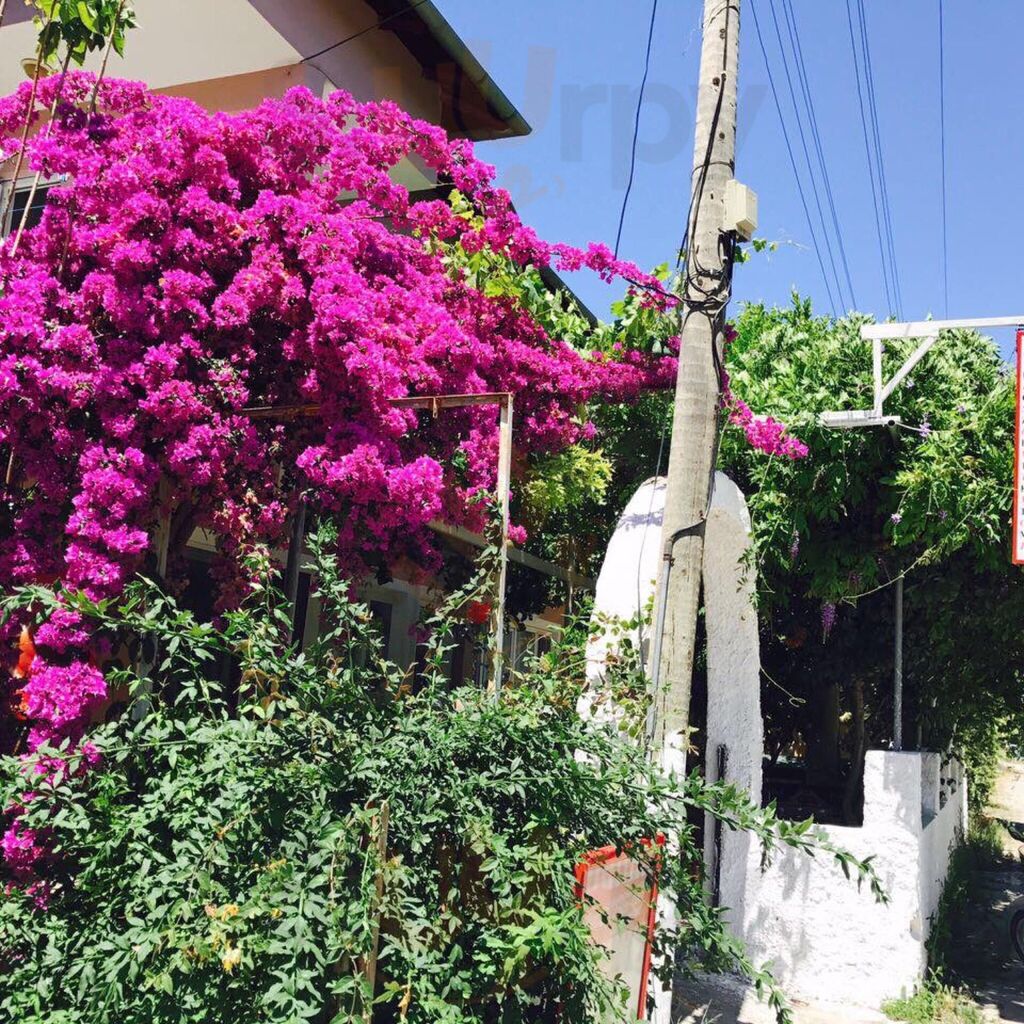 Köy Sofrası Ev Yemekleri