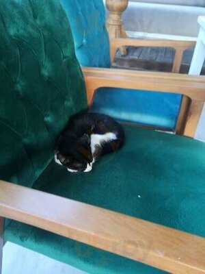 Karma Fun Bar/restaurant