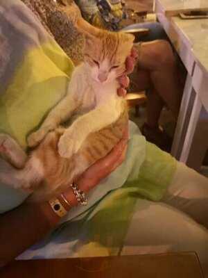 Karma Fun Bar/restaurant