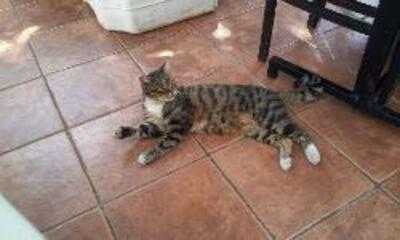 Kamer Ocakbaşı Restaurant