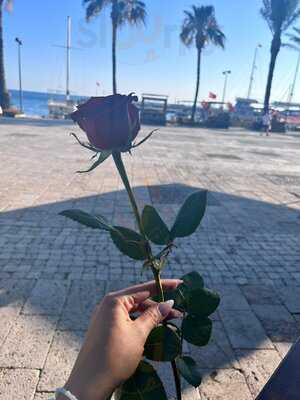 Side House Cafe & Bar