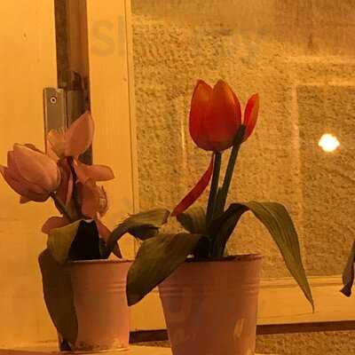 Balikci Meyhanesi Kaleici