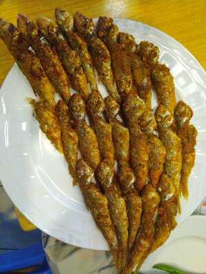 Olgun Balıkçılık