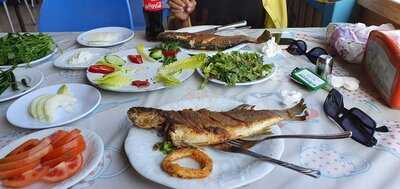 Olgun Balıkçılık