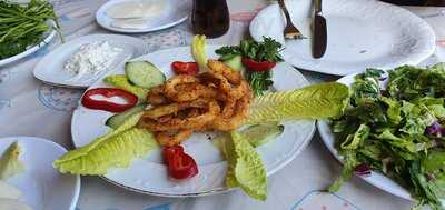 Olgun Balıkçılık