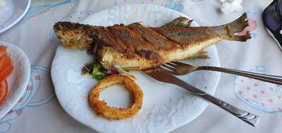 Olgun Balıkçılık