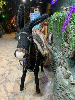 Pasakoy Bar & Restaurant