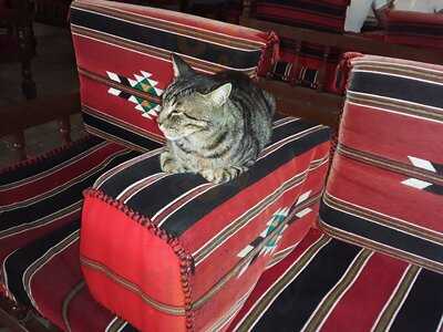 Yoresel Alanya Ev Mutfagi