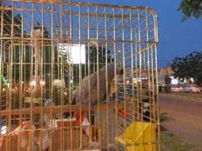 Cosmopolitan Restaurant & Dance Bar