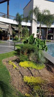 Num Num Agora Avm Antalya