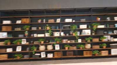 Num Num Agora Avm Antalya