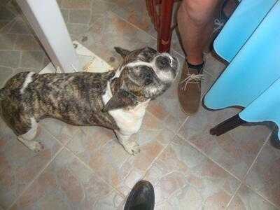 My Dream Restaurant Side