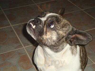 My Dream Restaurant Side