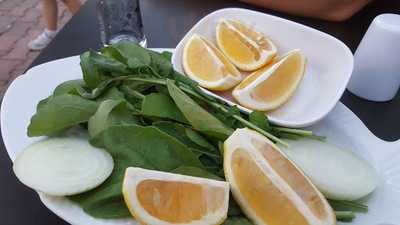 Gürsu Balıkçısı