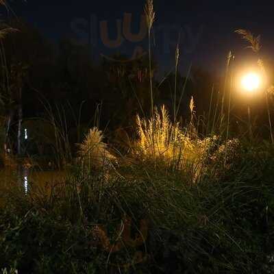 Misitik By Melissa's & Vanessa's