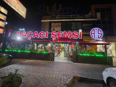 Paçacı Şemsi