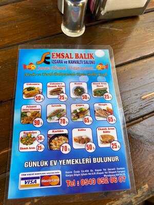 Emsal Balik