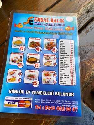 Emsal Balik