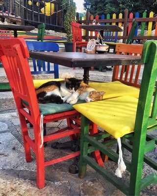 Bayramefendi Osmanlı Kahvecisi