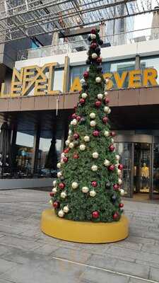 Gloria Jean's Coffees