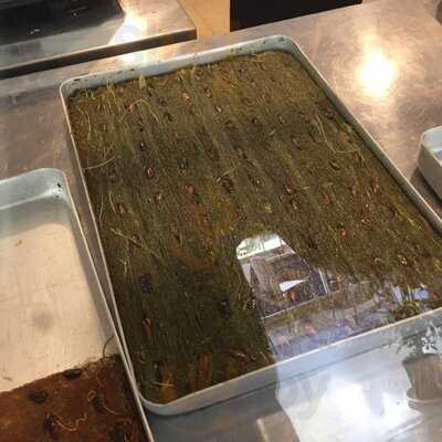 Künefeci Hasan Masat