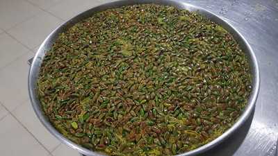 Gaziantep Şahinoğlu Baklava Salonu