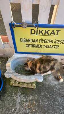 Eskibağ Teras - Paradisos Cafe