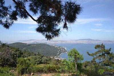 Aya Yorgi Kır Lokantası