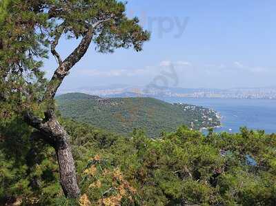 Aya Yorgi Kır Lokantası