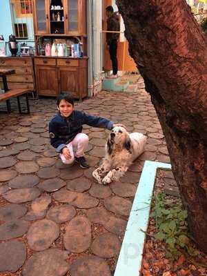 Büyükada Bistro Candy Garden