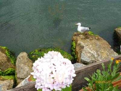 Fayton Cafe & Restaurant