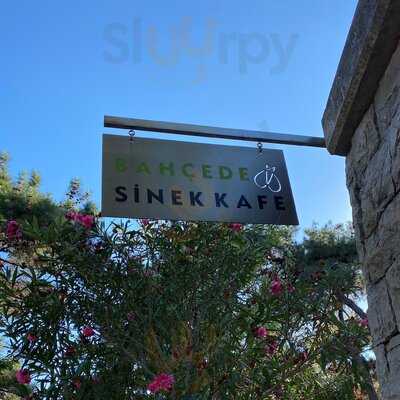 Bahçede Sinek Kafe