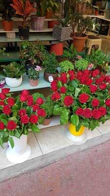 Düveroğlu Kebap Salonu