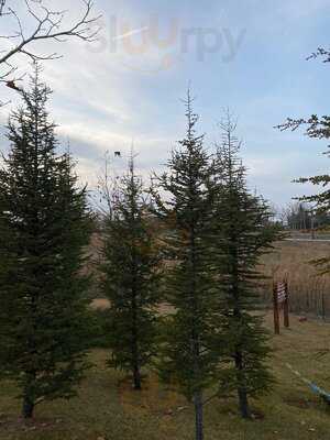 Kafes Fırın Coffee & Bakery