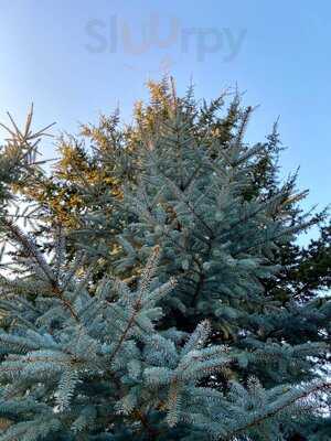 Kafes Fırın Coffee & Bakery