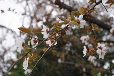 Kafes Fırın Coffee & Bakery