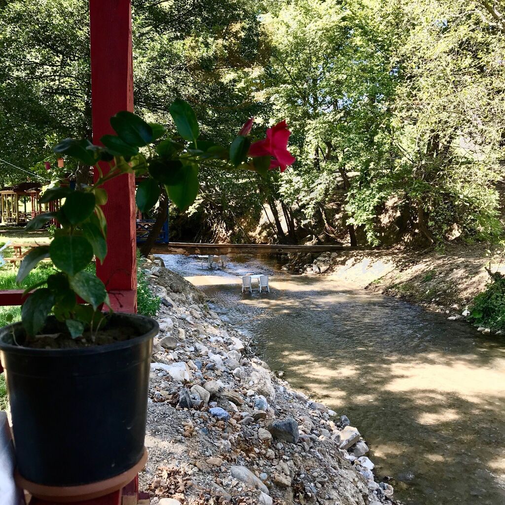 Mola Boğaz